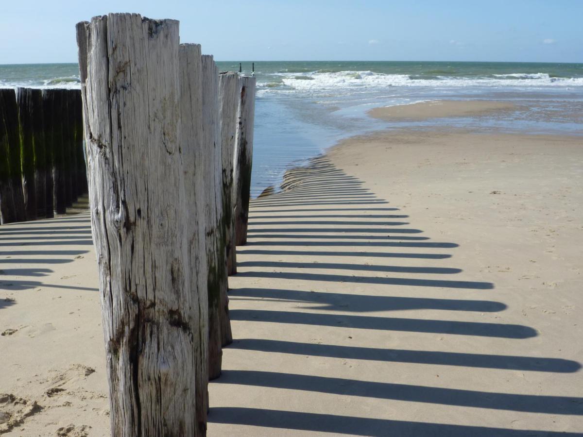 Vakantiehuis Domburg Do12 Dış mekan fotoğraf