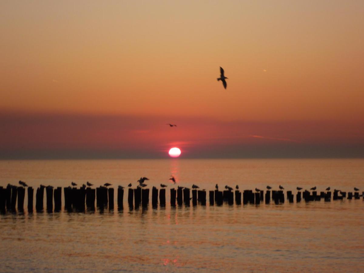 Vakantiehuis Domburg Do12 Dış mekan fotoğraf